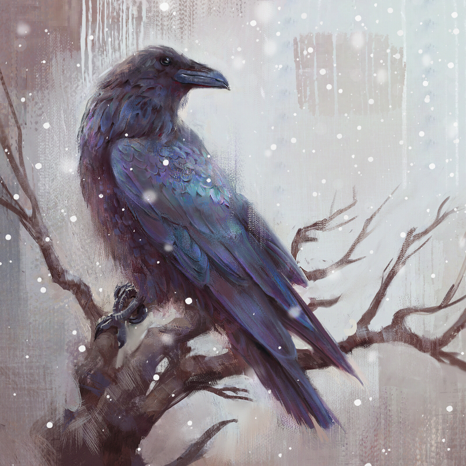 First Snow