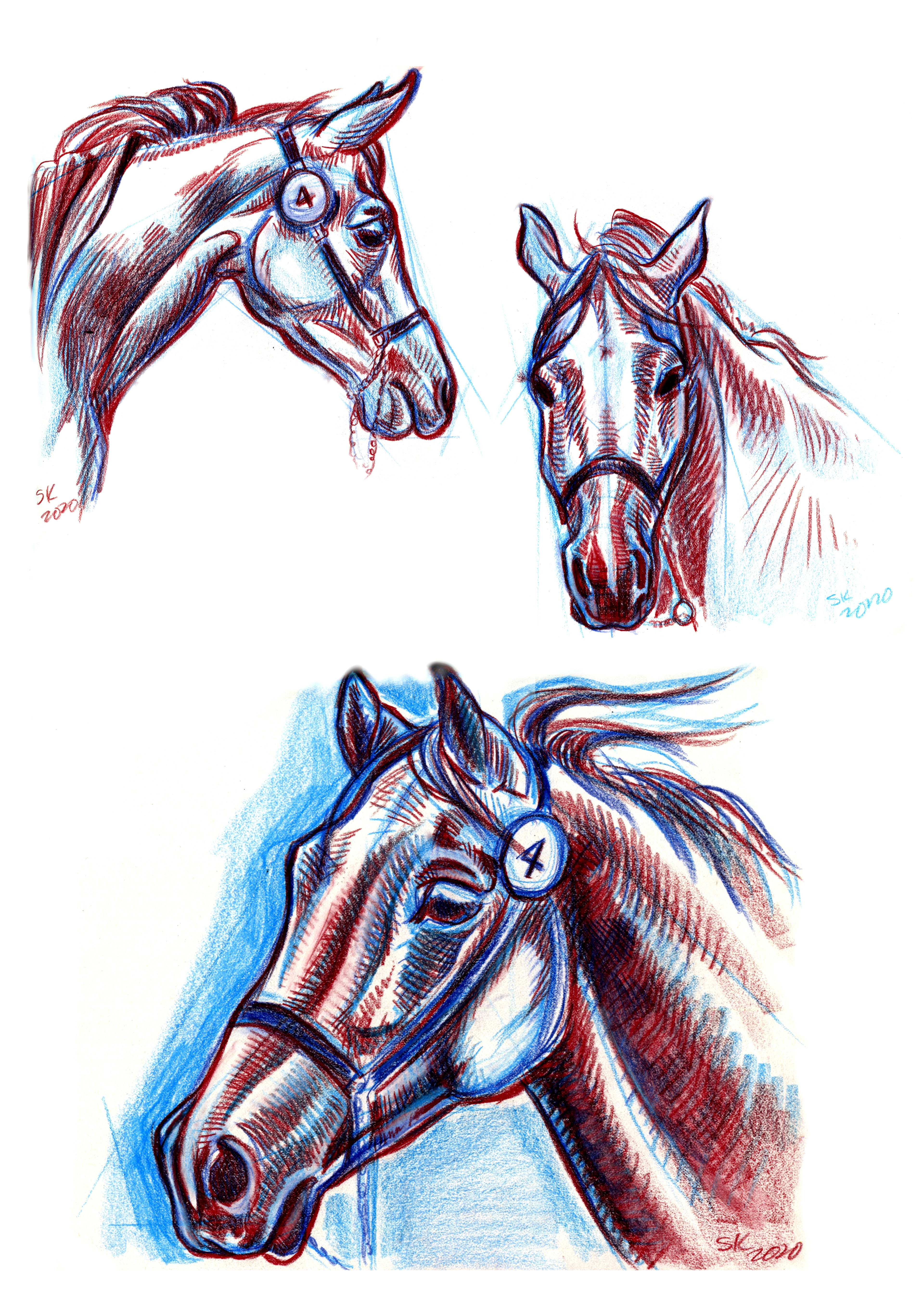 Three views of one Arab stallion.