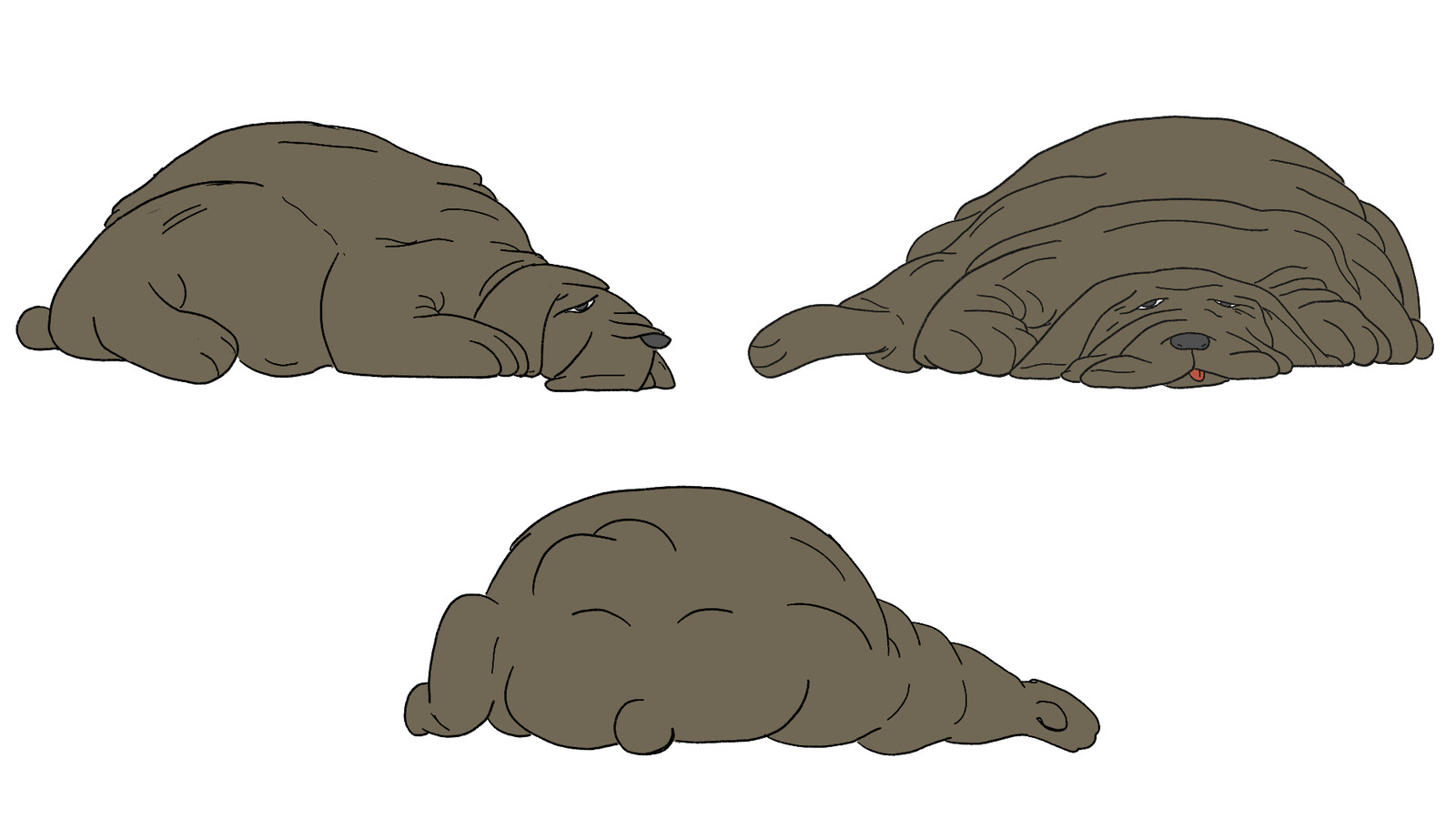 Line-up dog