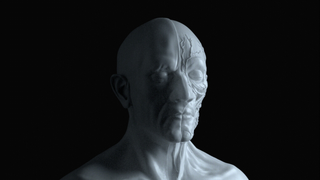 Ecorche for Medical Preview