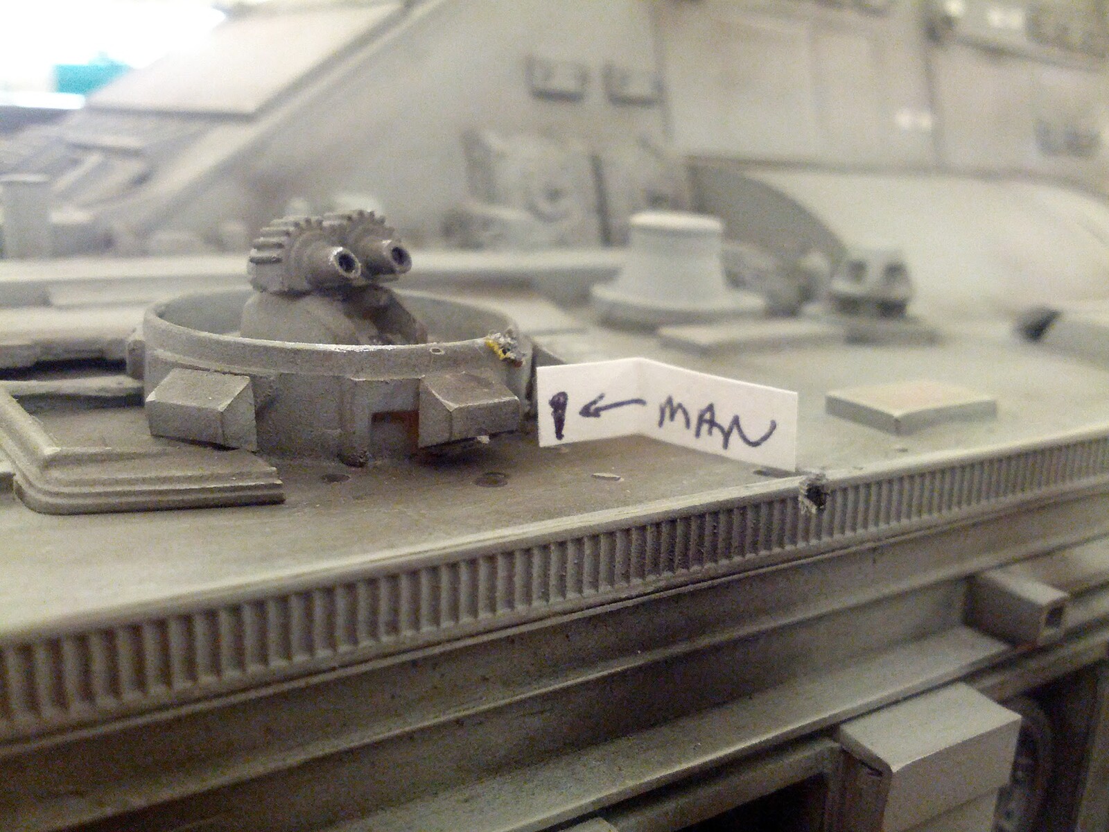 Scale reference.