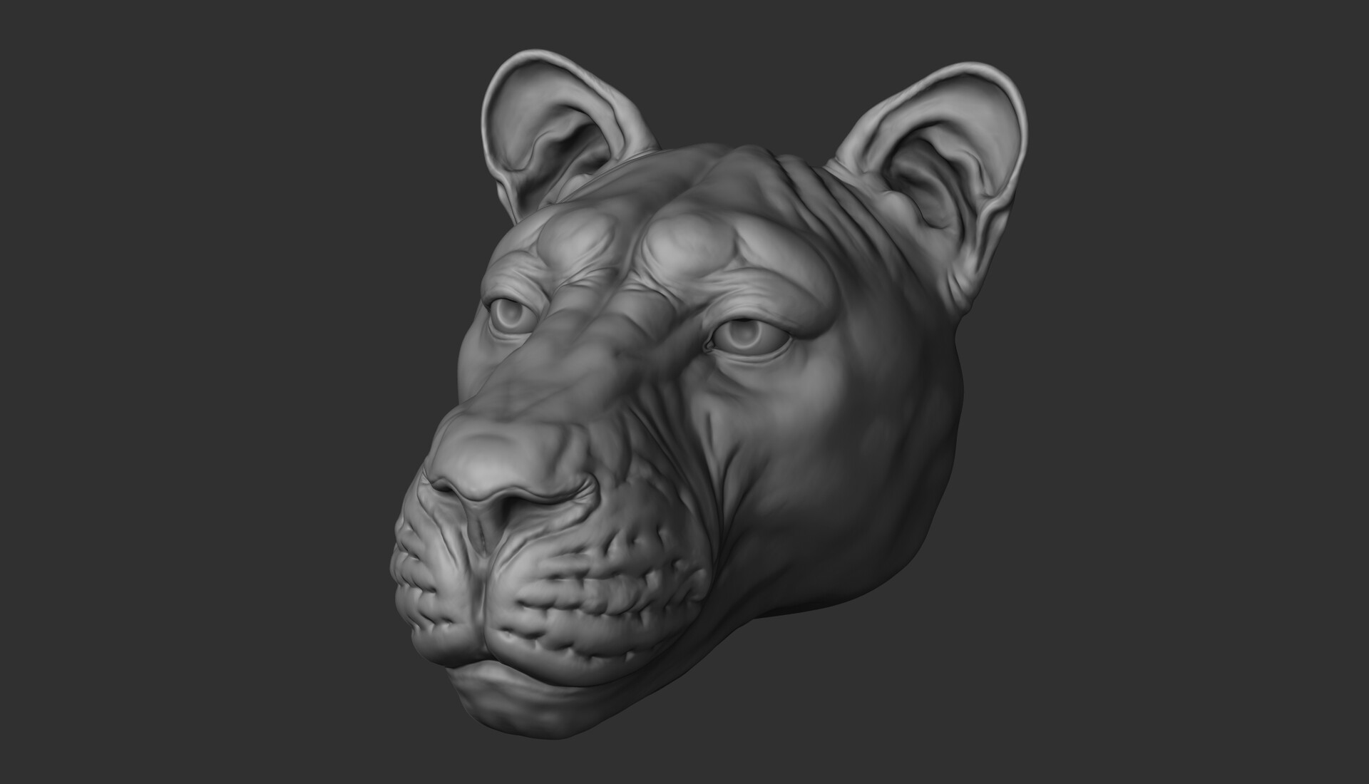 ArtStation Zbrush Animal Heads (11)