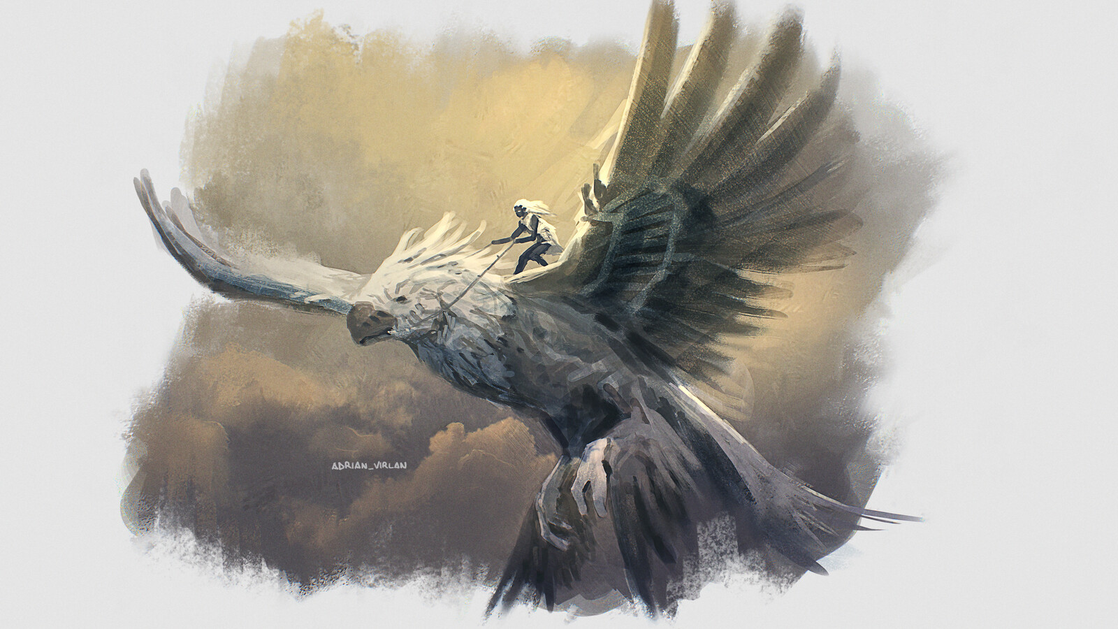 Hevenurion flying beast sketch