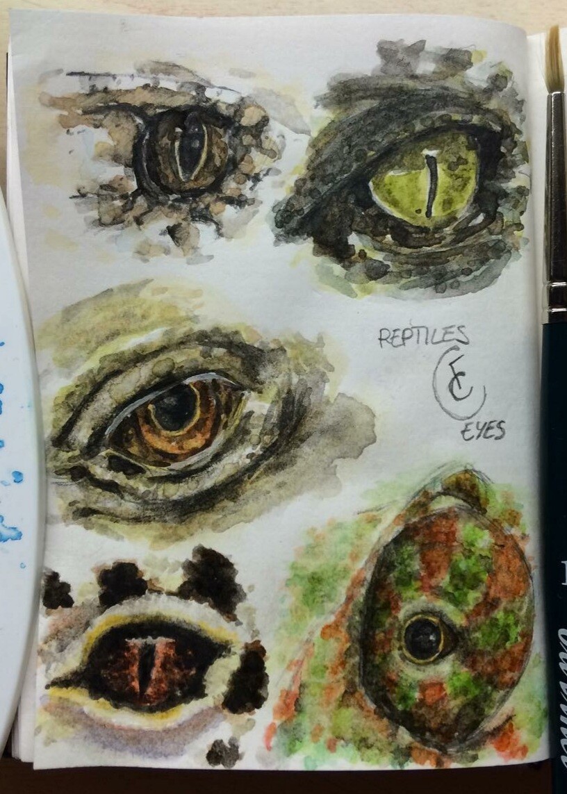 ArtStation - Watercolor reptiles & feline eyes