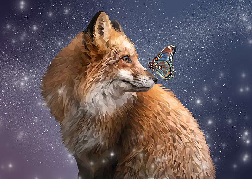 night fox