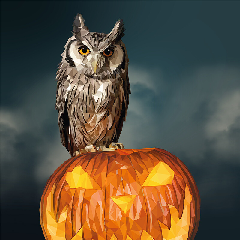 halloween owl