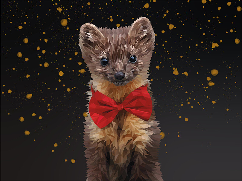 weasel with bow tie