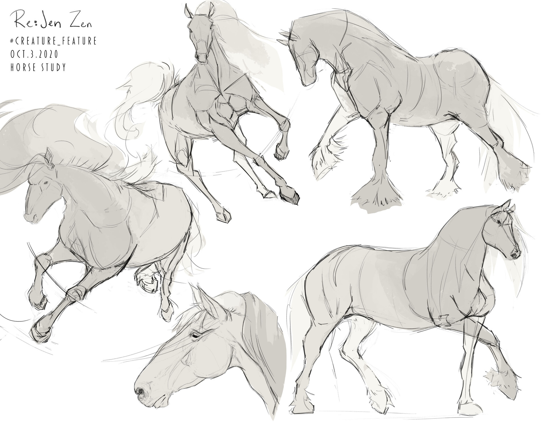 horses set one line drawing on white background, vector Stock Vector |  Adobe Stock
