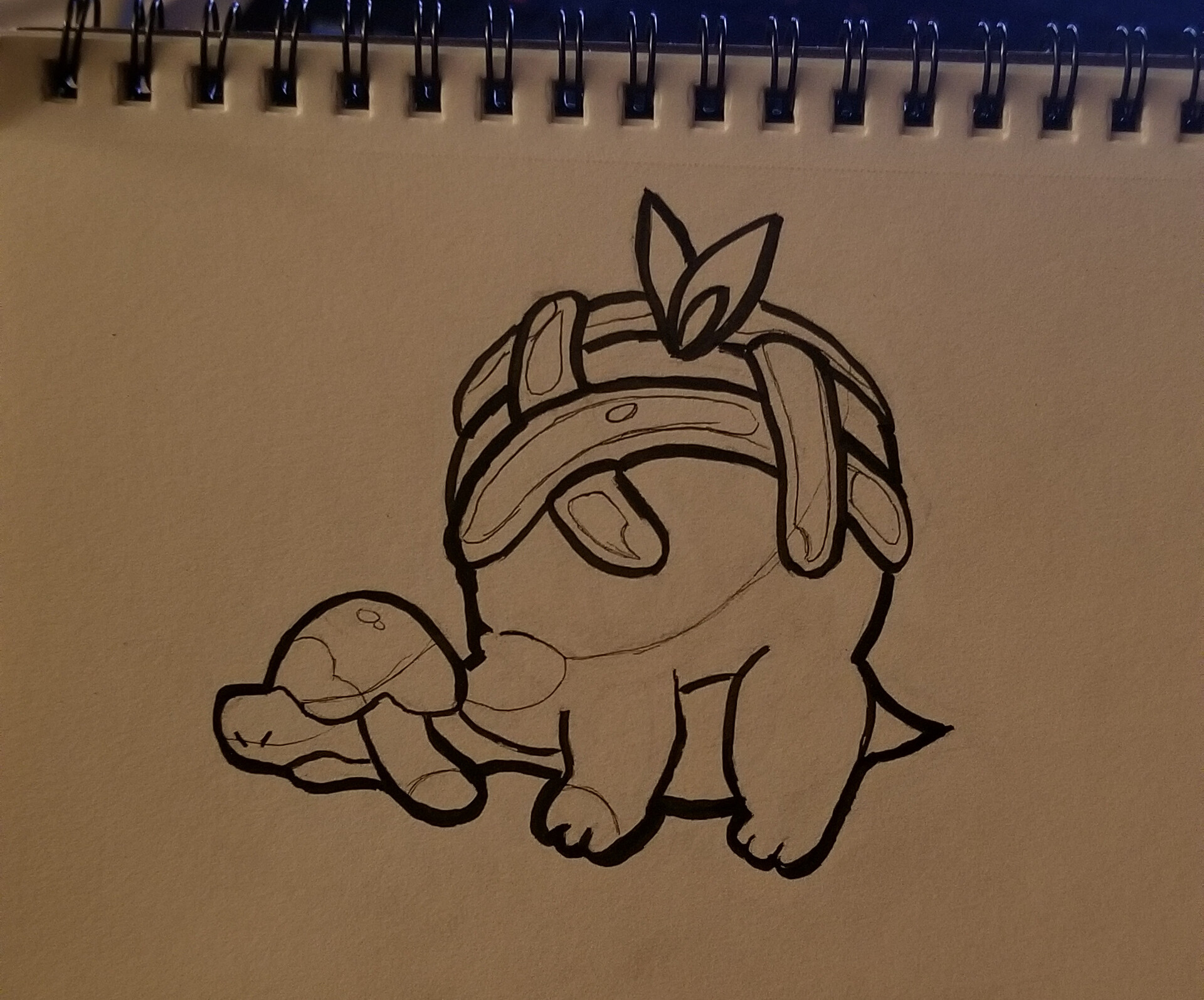 Appleton pokemon shop