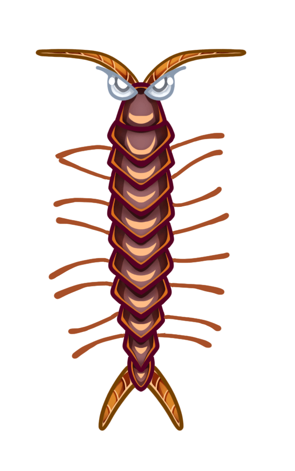 Centipede Crawling