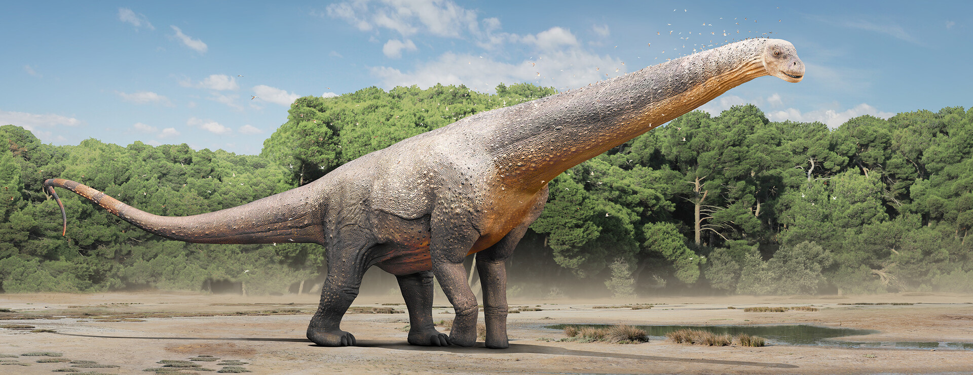 Самое длинное сухопутное животное. Самое длинное сухопутное животное. Какое самое длинное животное на земле. Самые крупные современные наземные млекопитающие. Артроплевра окаменелость.