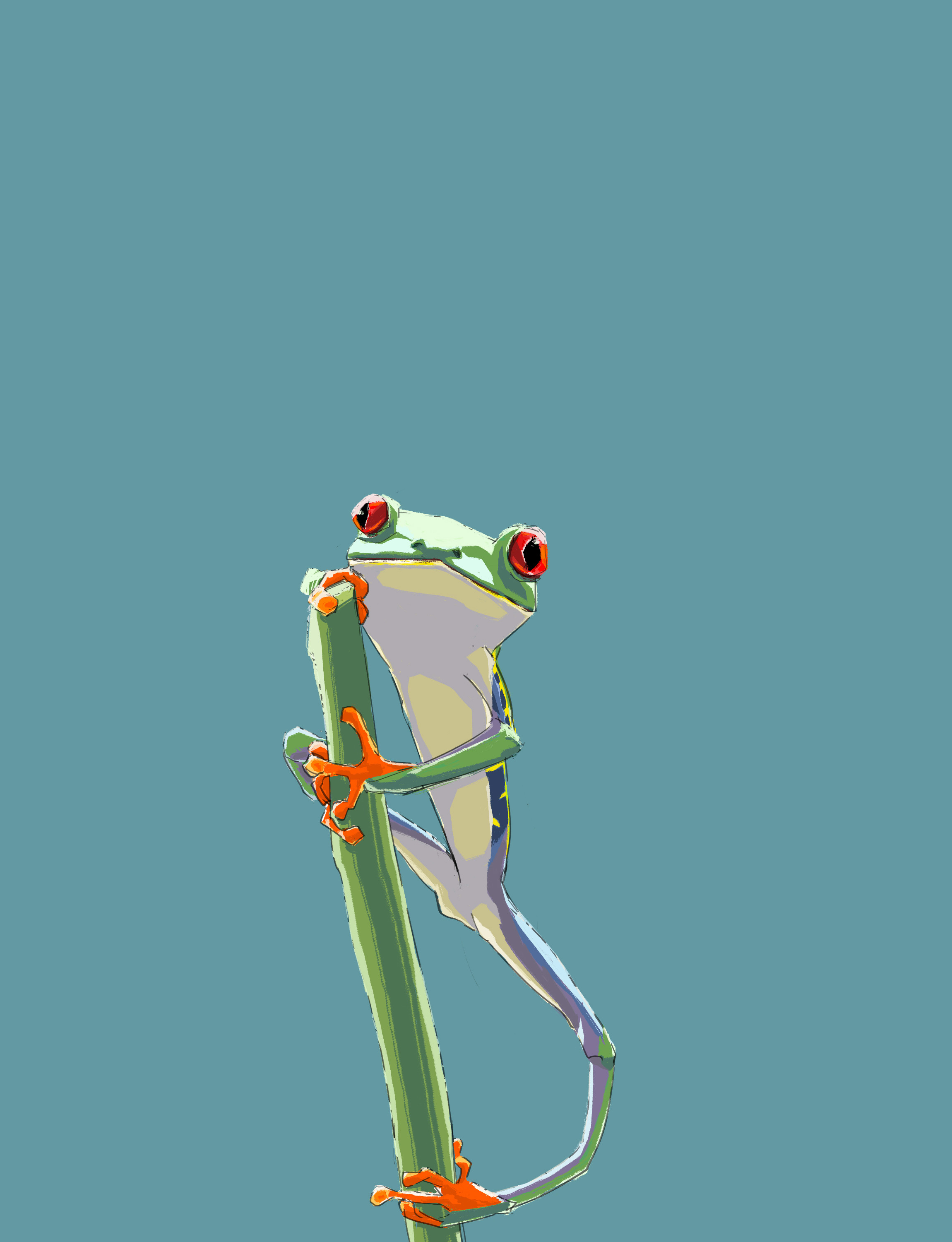 ArtStation - Red Eyed Tree Frog Study