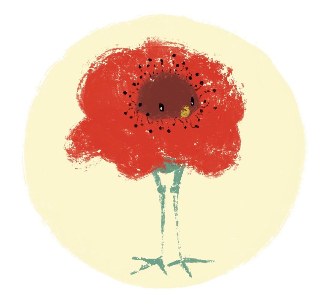 Poppy Bird