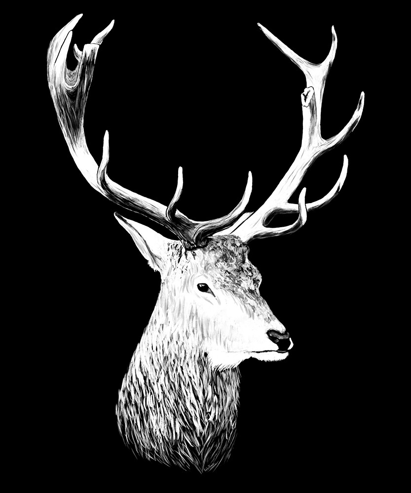 Artstation - Deer Head