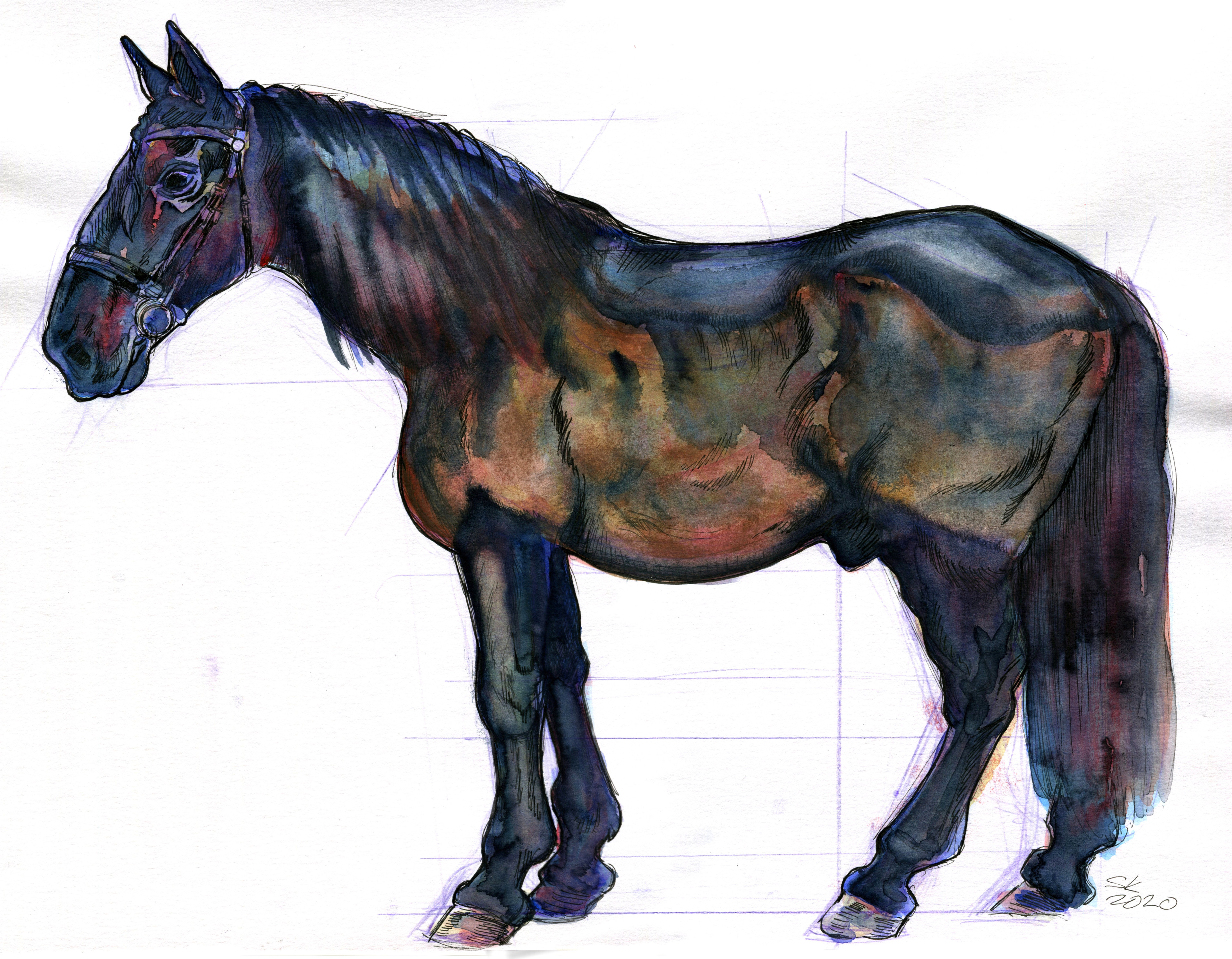 Finished painting, Kladruber stallion. 