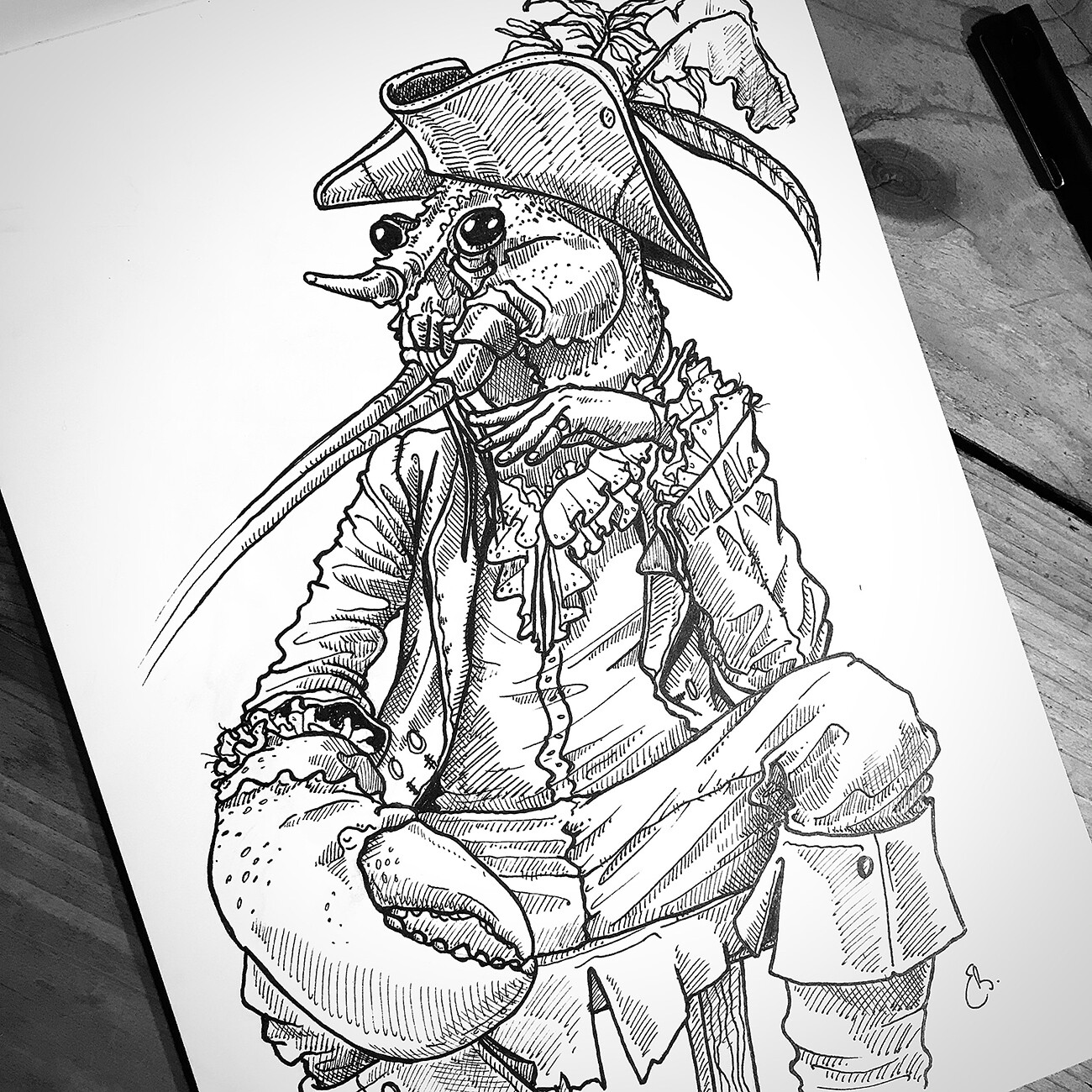 Lobster - Pirate study 01