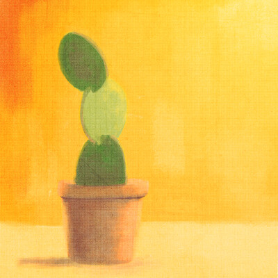 Alexandre de la serna cactus 01