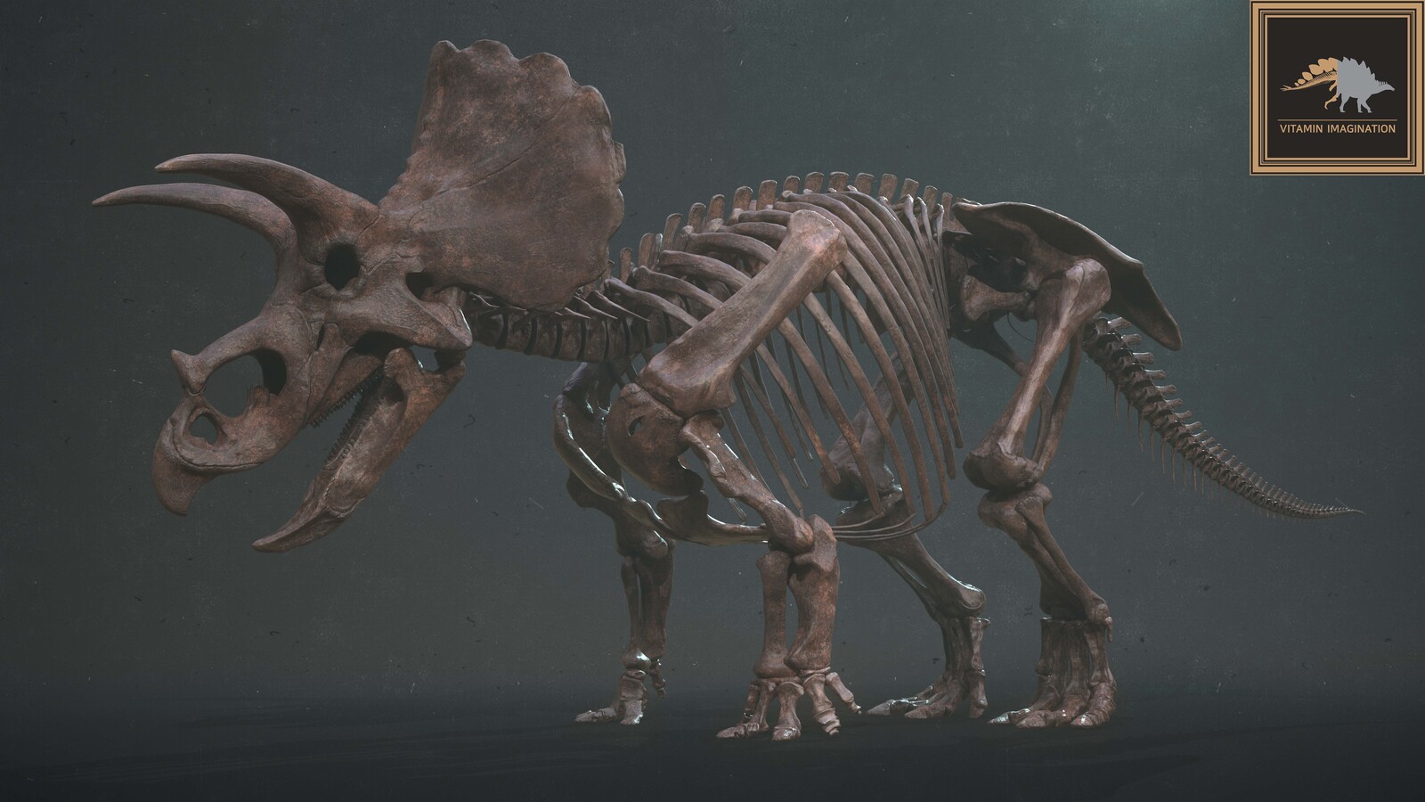 트리케라톱스 Triceratops