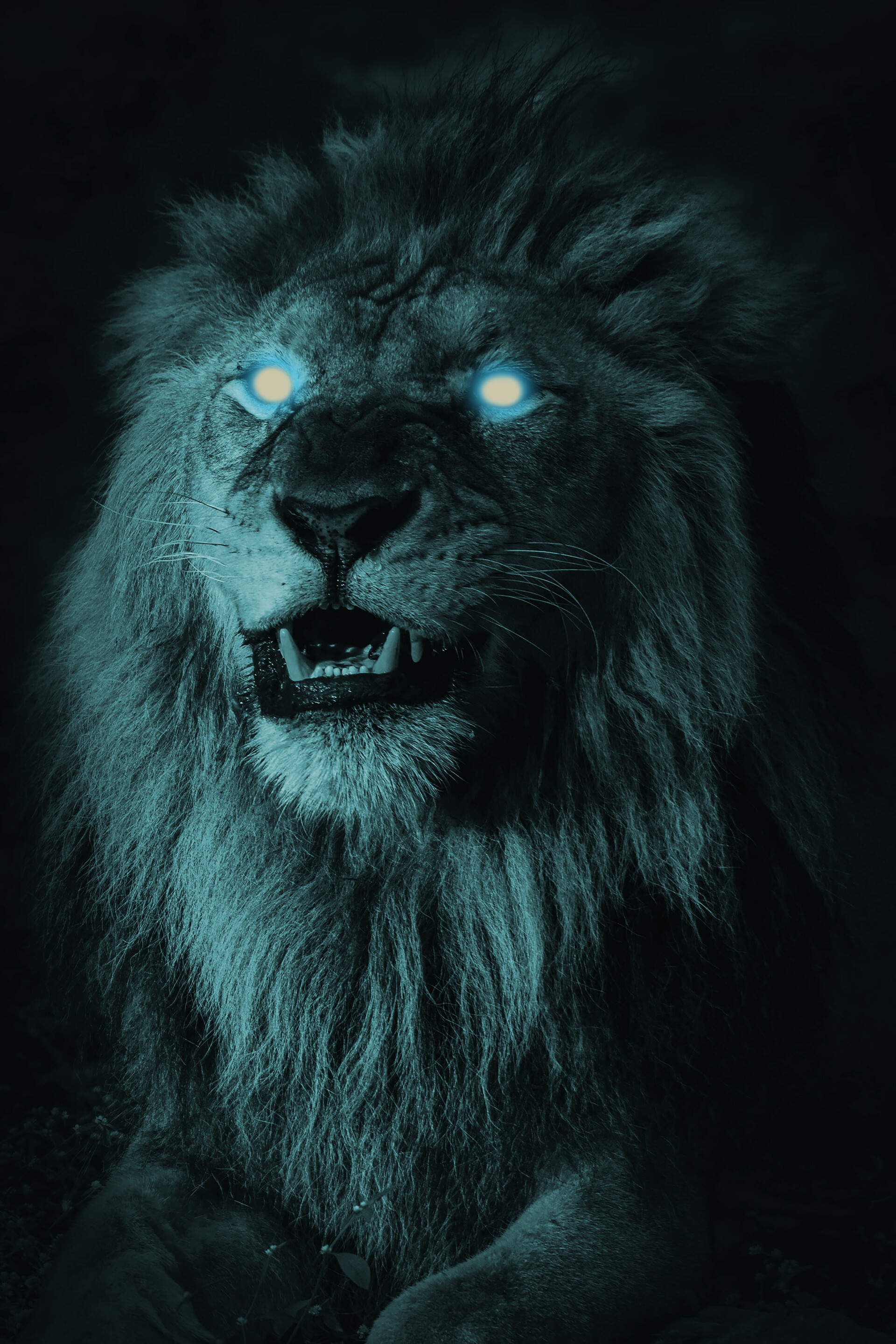 black lion with blue eyes wallpaper