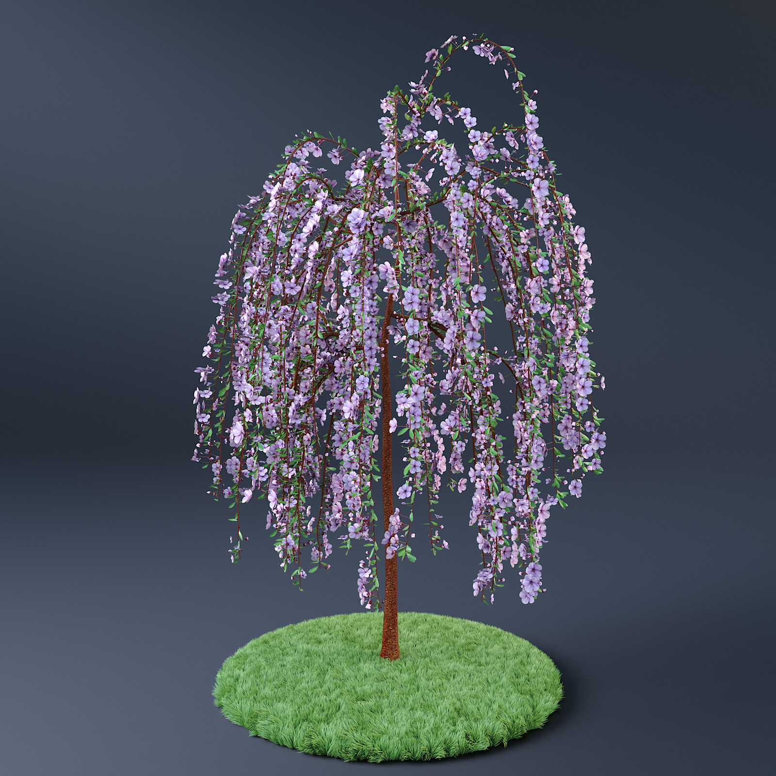 Old Try with SpeedTree