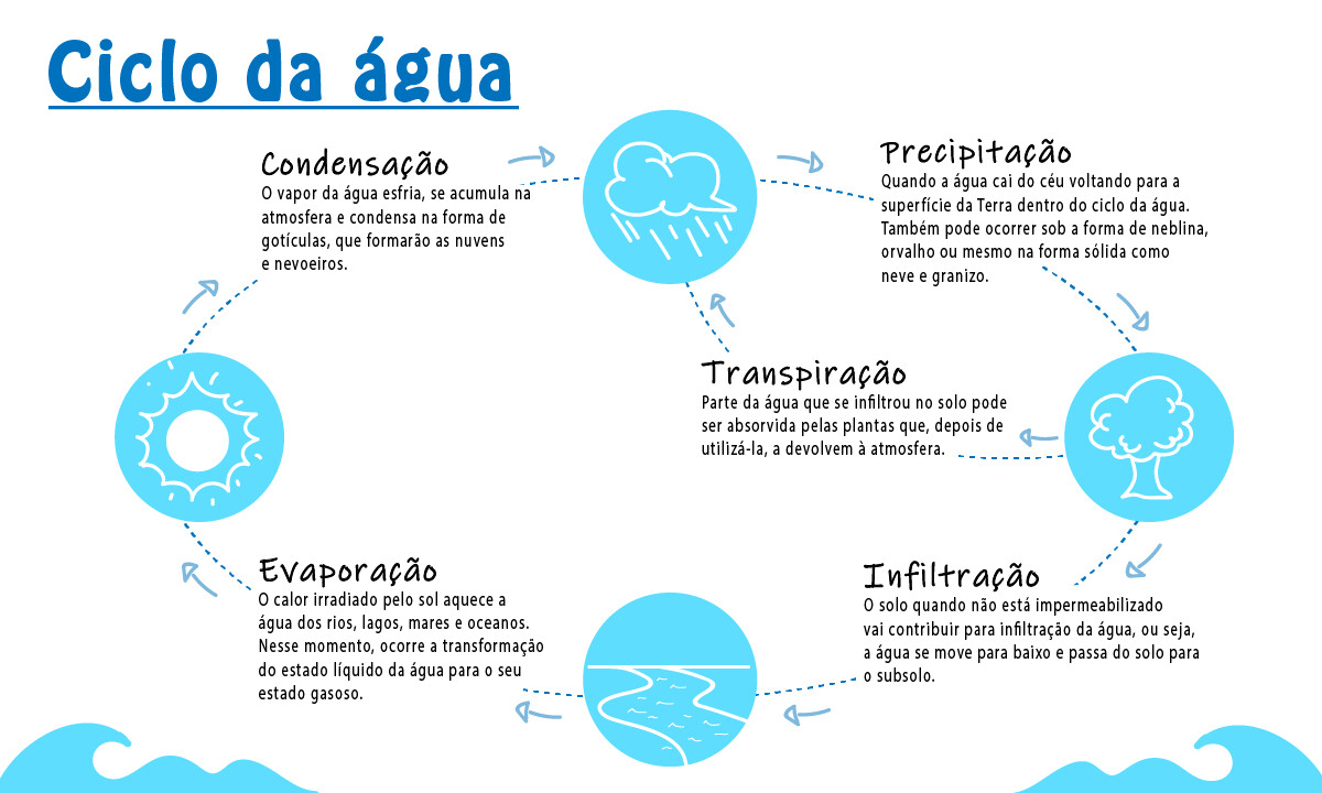 Definicao De Transpiracao Do Ciclo Da Agua Ciclo Da água: O Que é,
