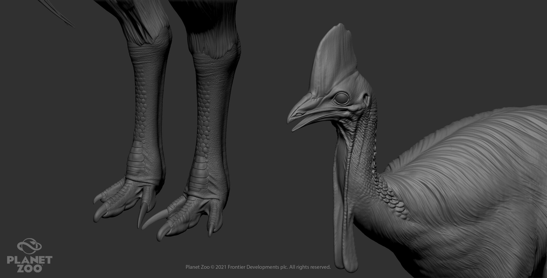 c-wu-casswary-male-zbrush02.jpg