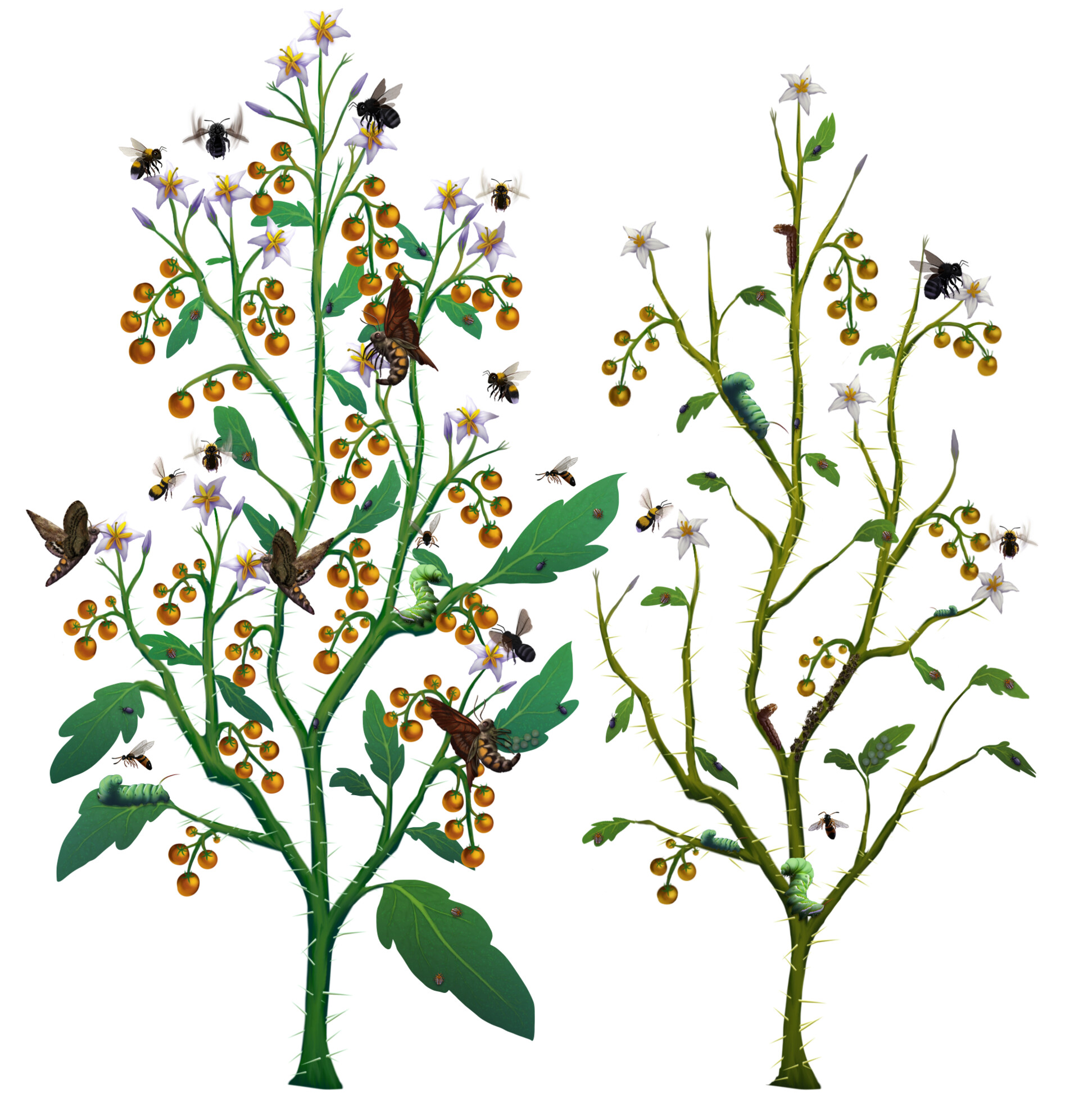 ArtStation Large Scale PlantInsect Interactions