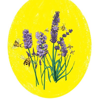 Flowers of the honey bee