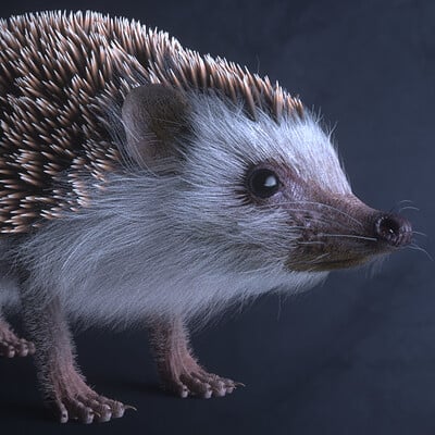 Hedgehog render test