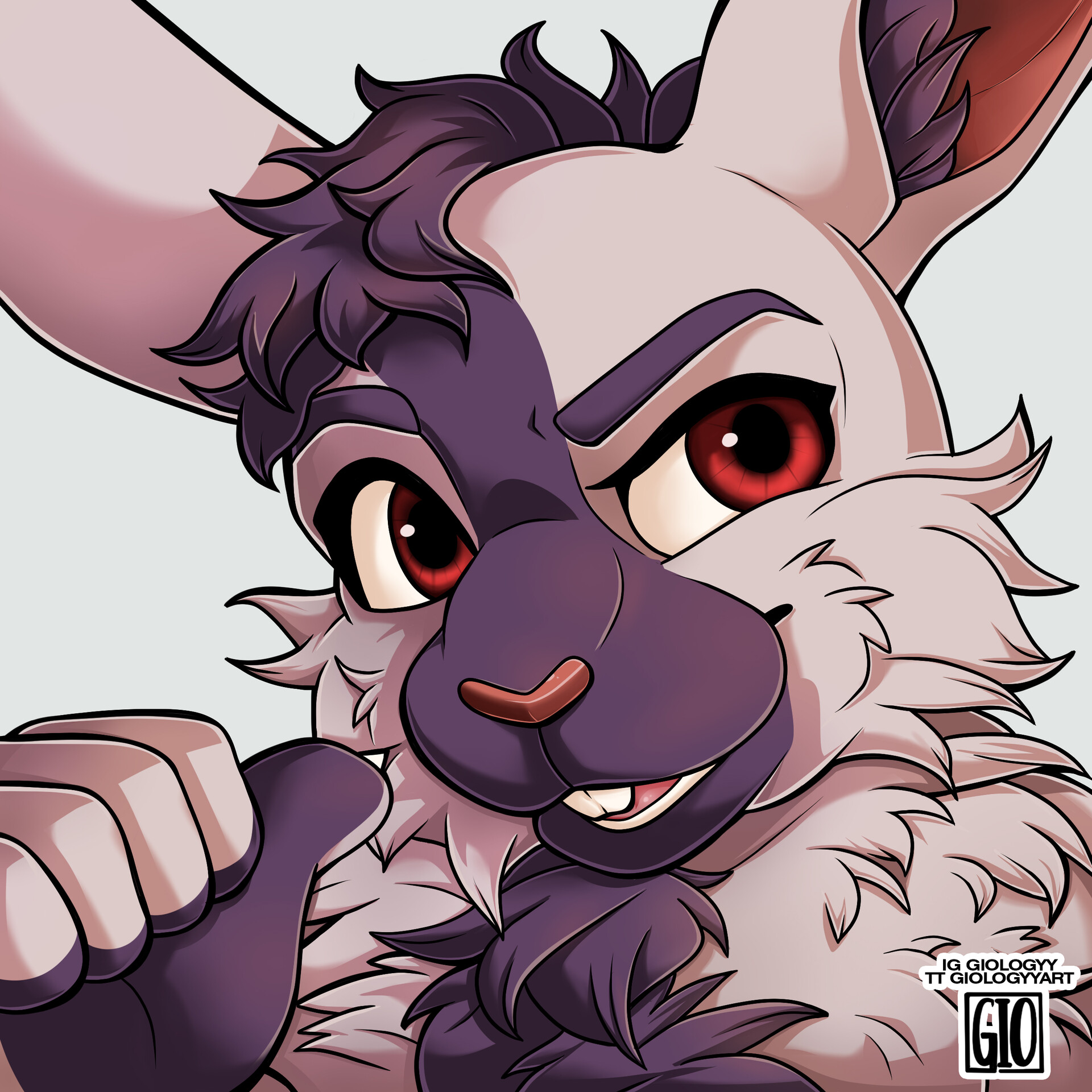 Furry rabbit hotsell