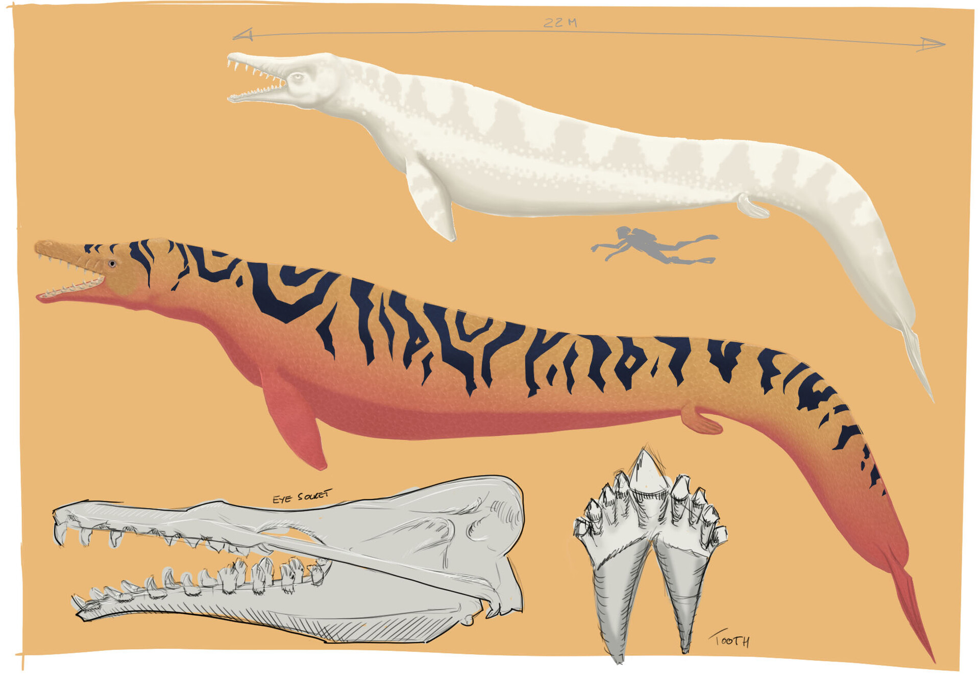 ArtStation Exploration Basilosaurus