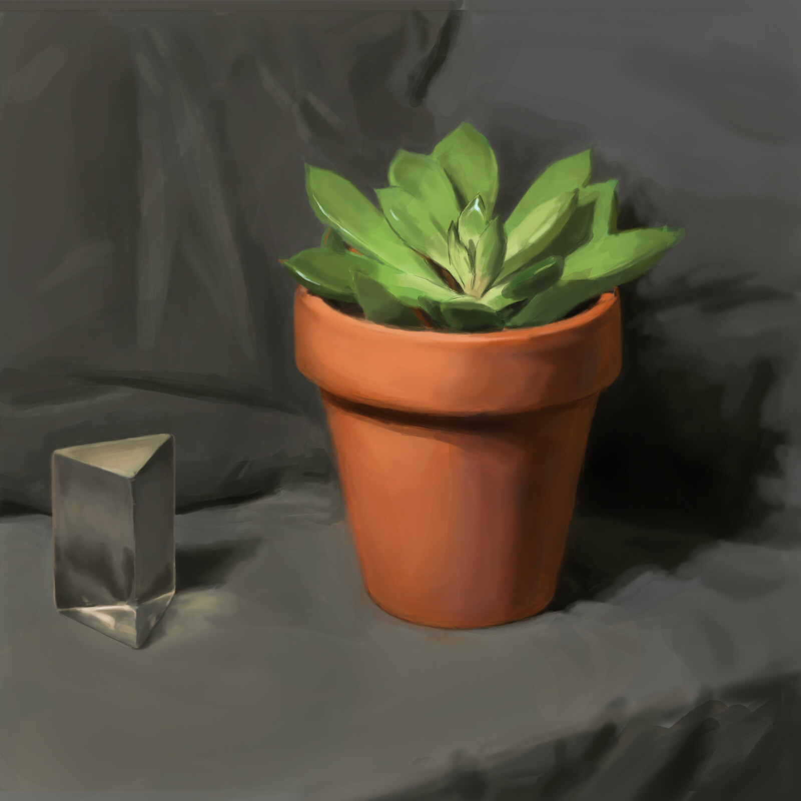 Still Life: Prism and Succulent