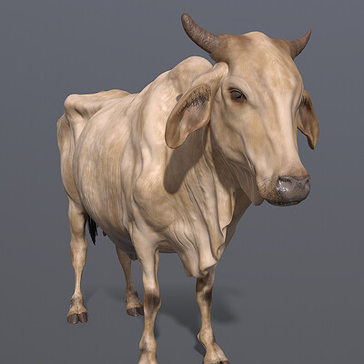Cow Game Asset (WIP)