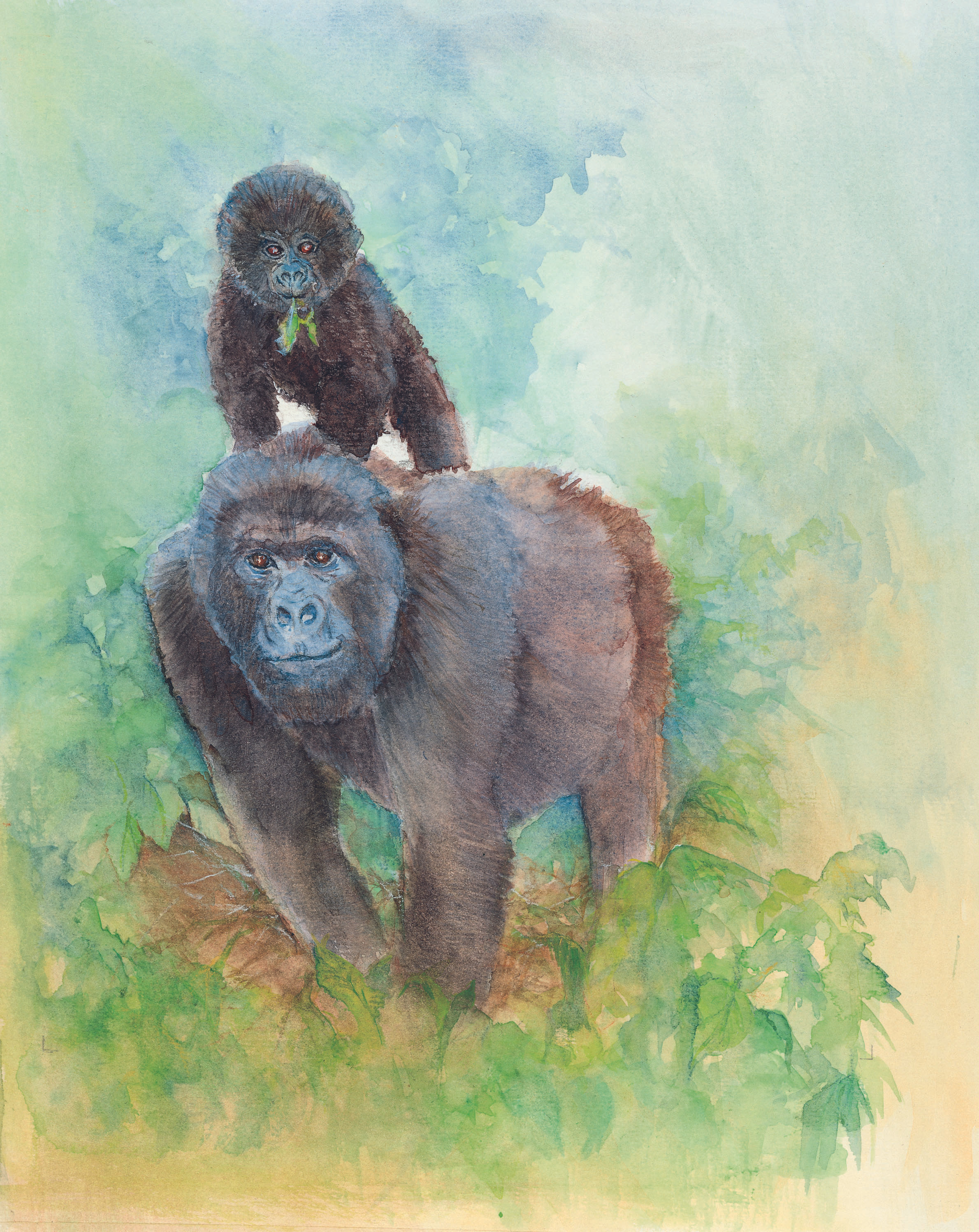 Gorillas