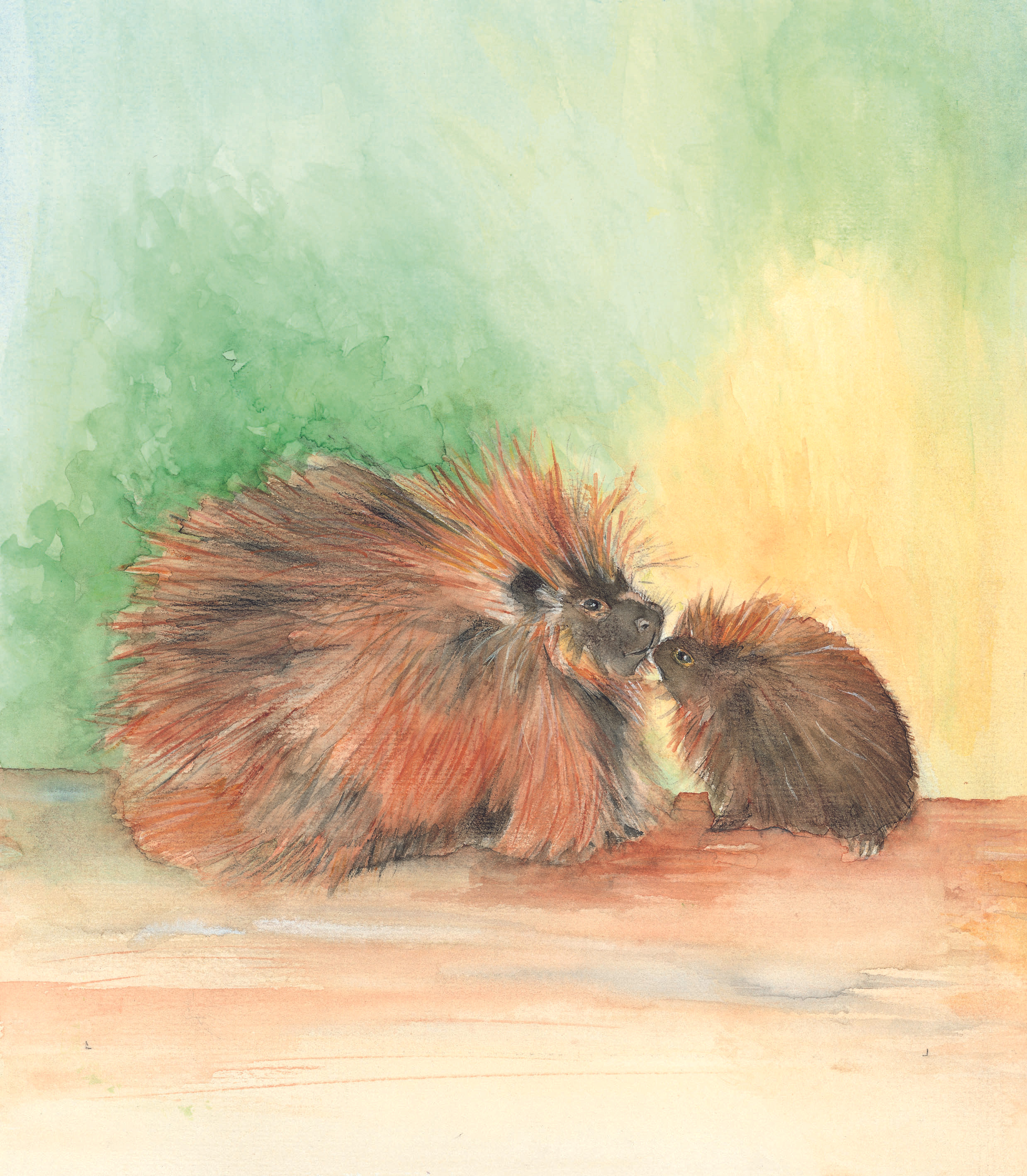 Porcupines