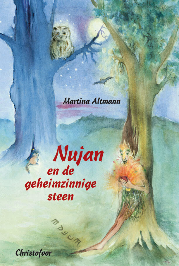 Nujan and the mysterious stone