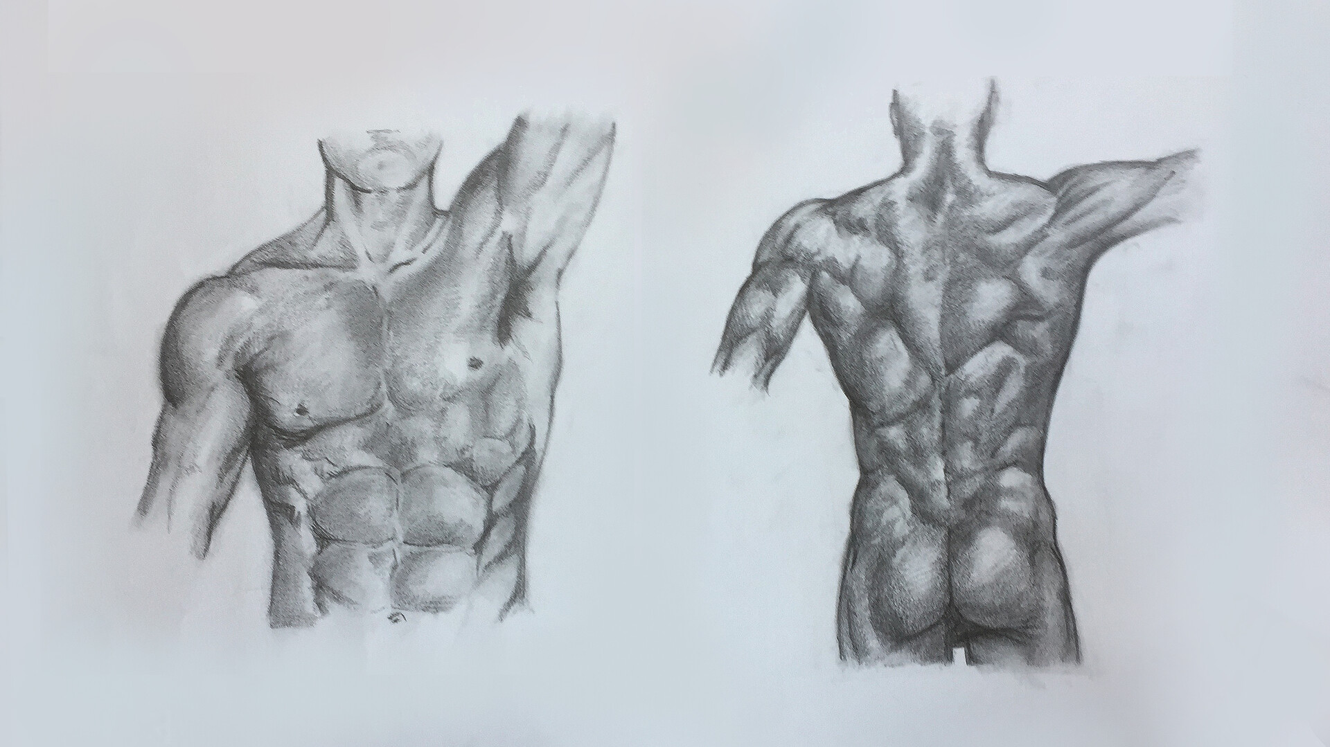 ArtStation - Muscles drawing