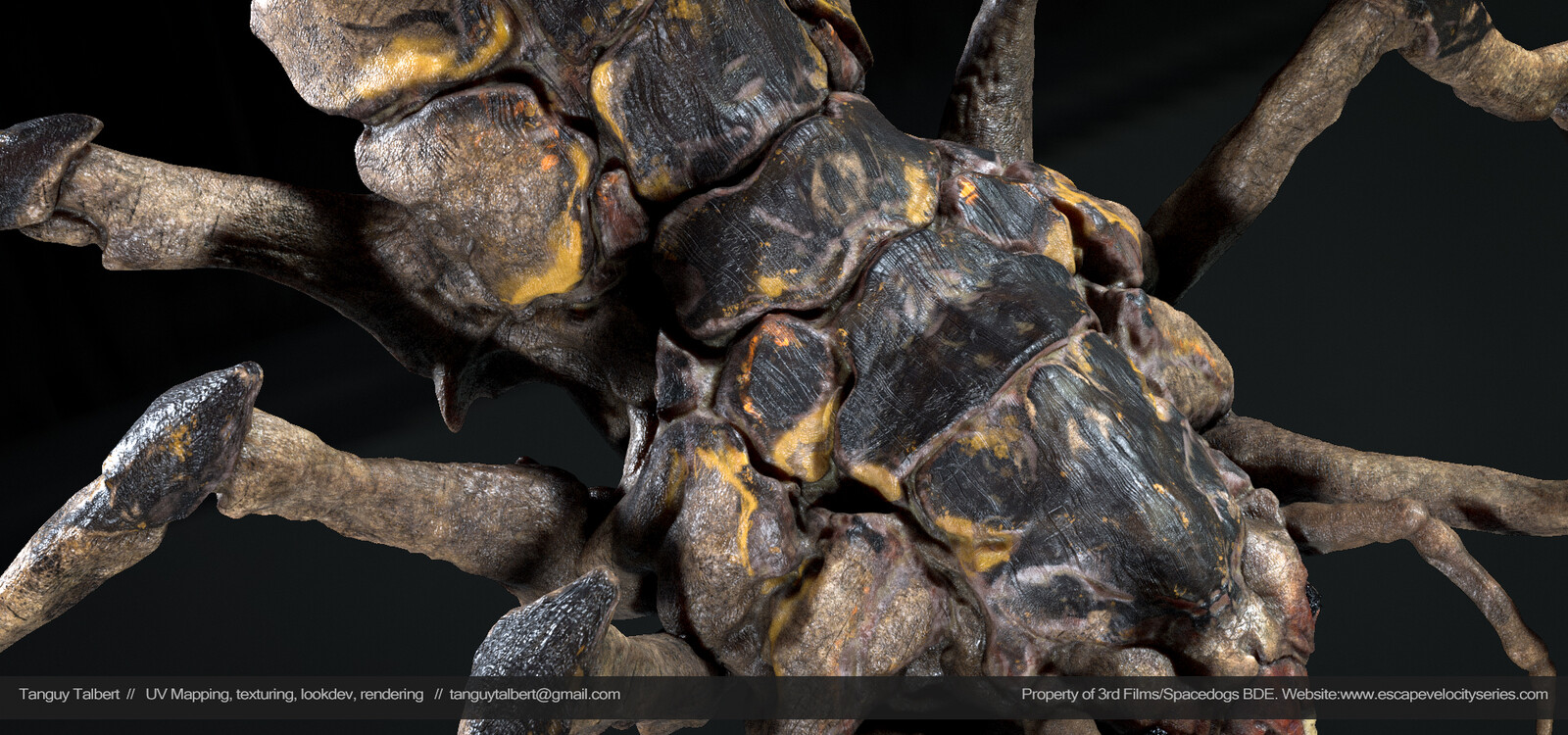 Look dev in V-ray
