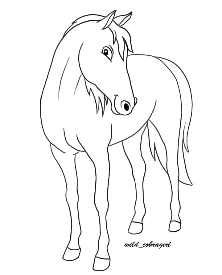 ArtStation - Cartoon Horse drawing