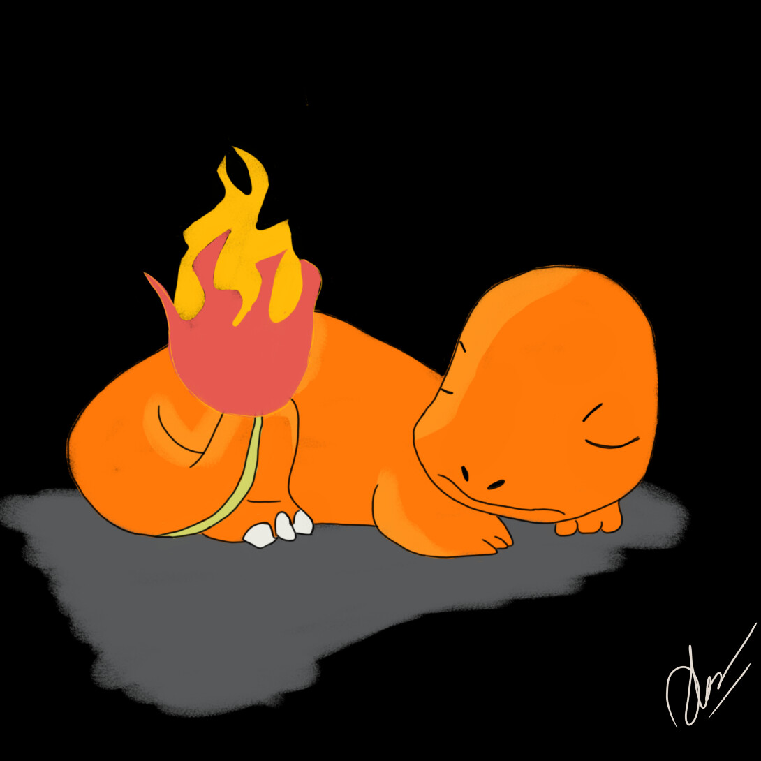 Sleeping charmander 2025
