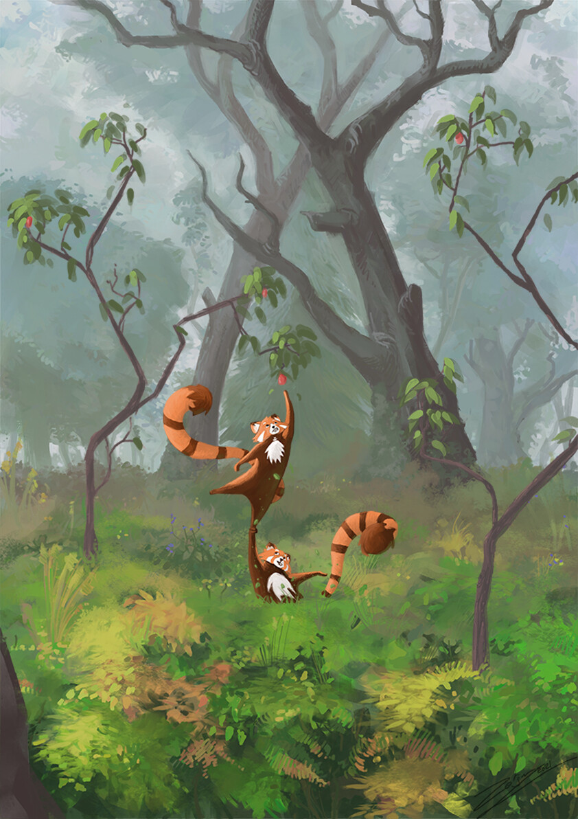 Red Pandas and their breakfast