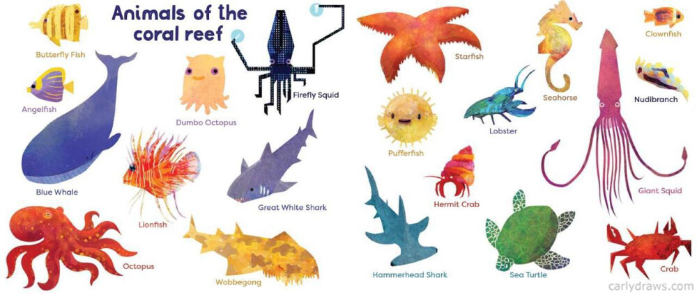 Animals of the reef