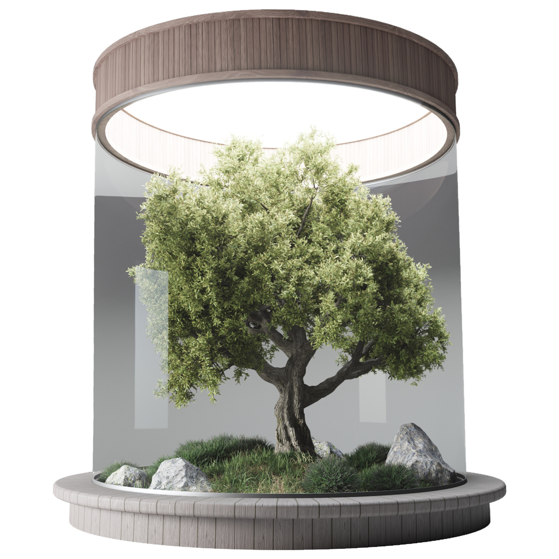 ArtStation Terrarium