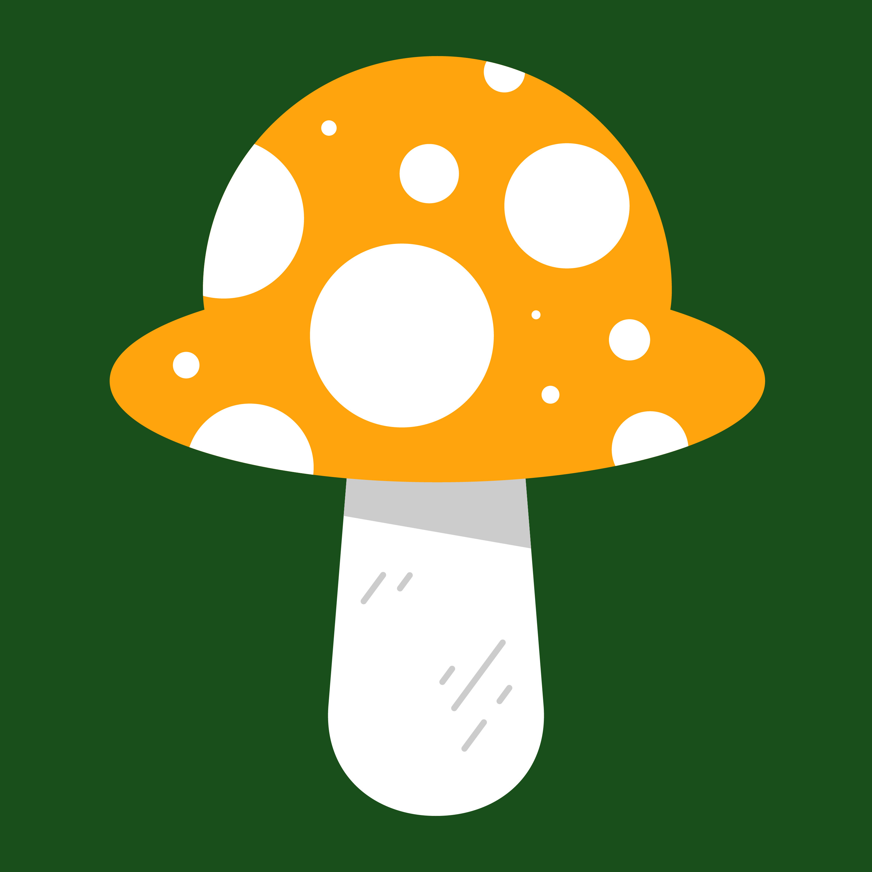 Orange Fungi