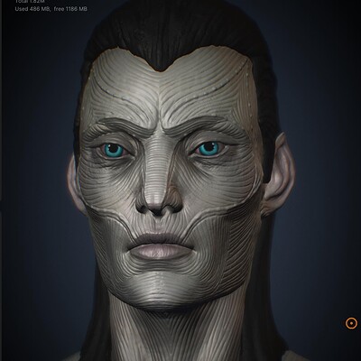 Dark Elf