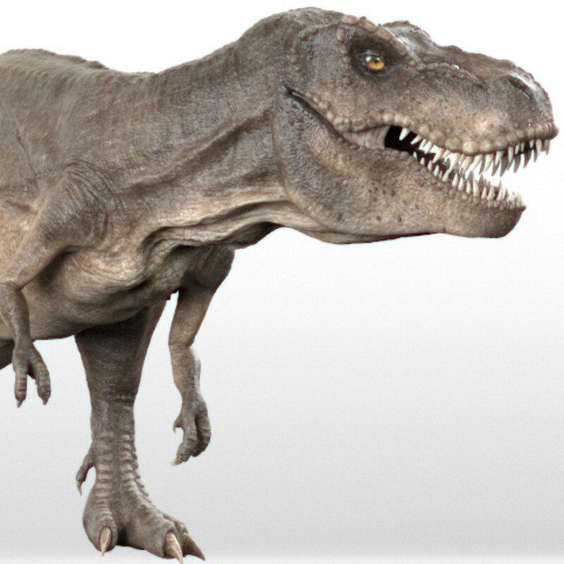 Tyrannosaurus rex - RIGGED
