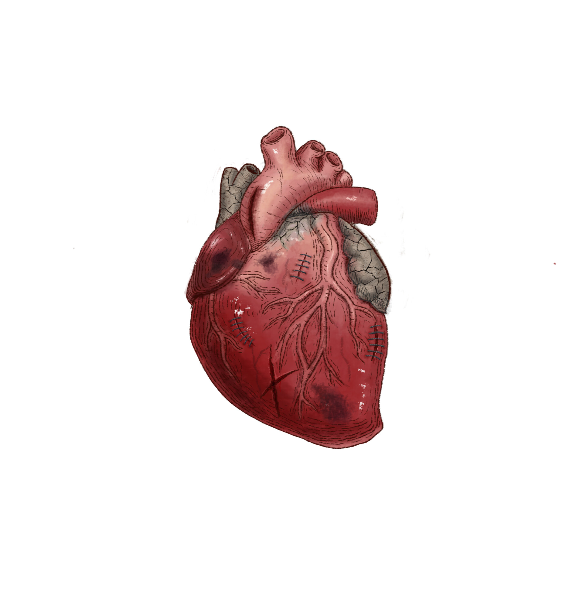 Artstation Heart Of Stone Ferchio Vera