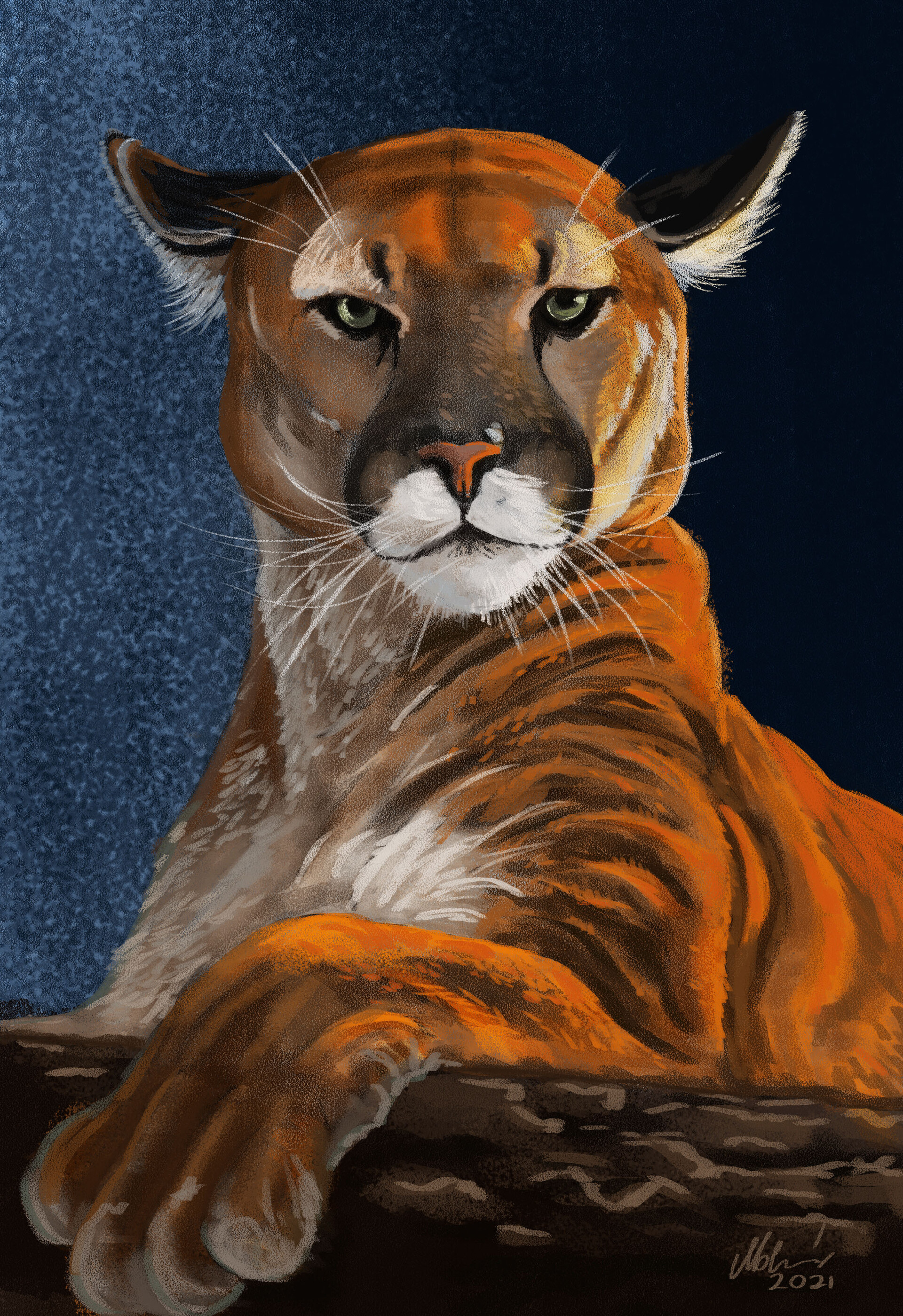 - Puma painting with more use opaque pixel and stronger colors