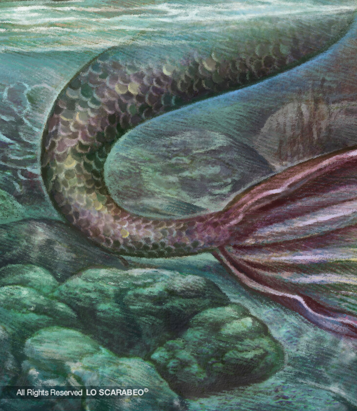 Zoom on the tail's scales