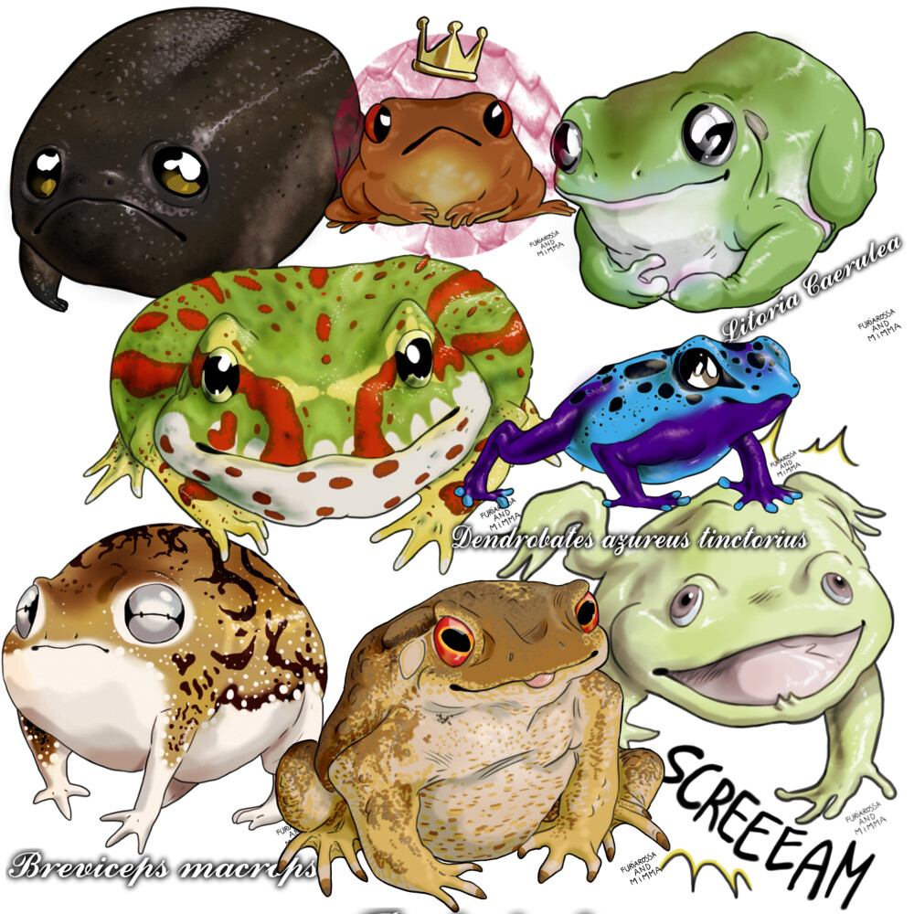 Amphibians! A quick collage of some of them.